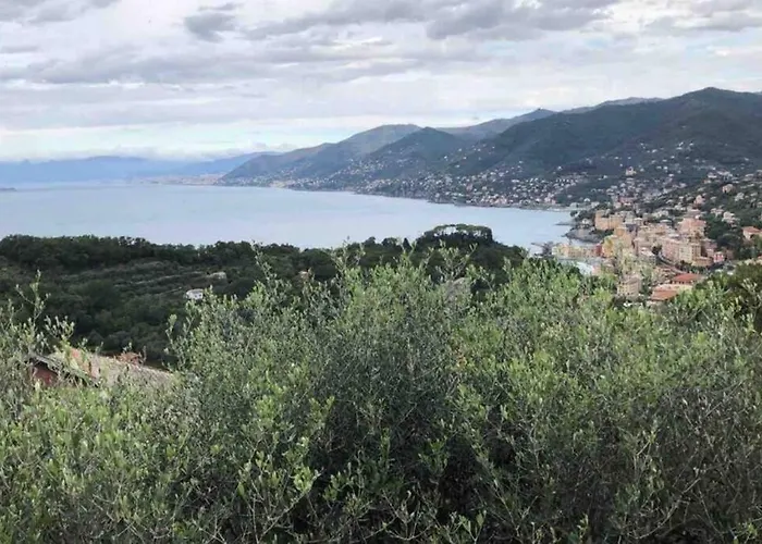 Acqua Marina