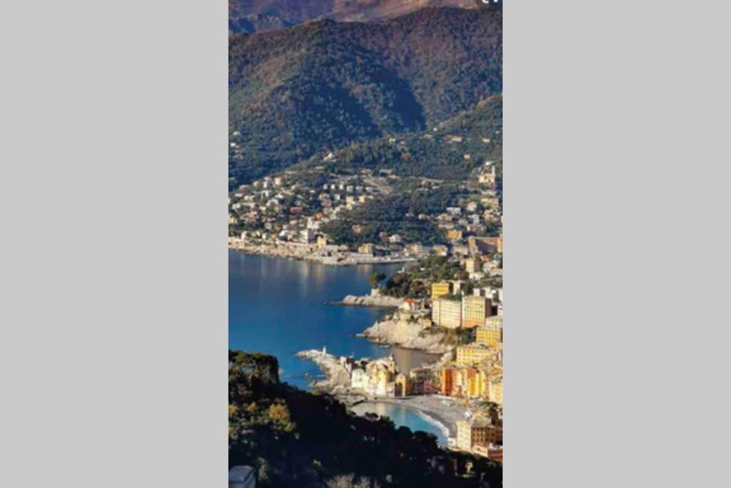 Acqua Marina Apartment *
