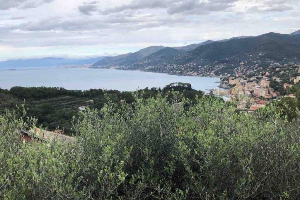 Acqua Marina